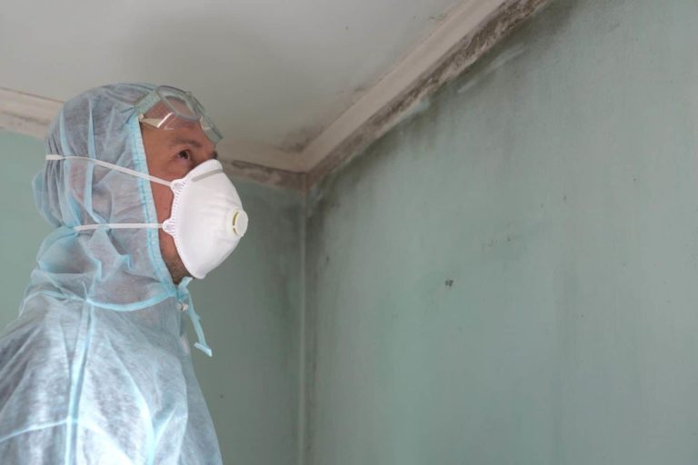 Mold in the house Lancaster SC