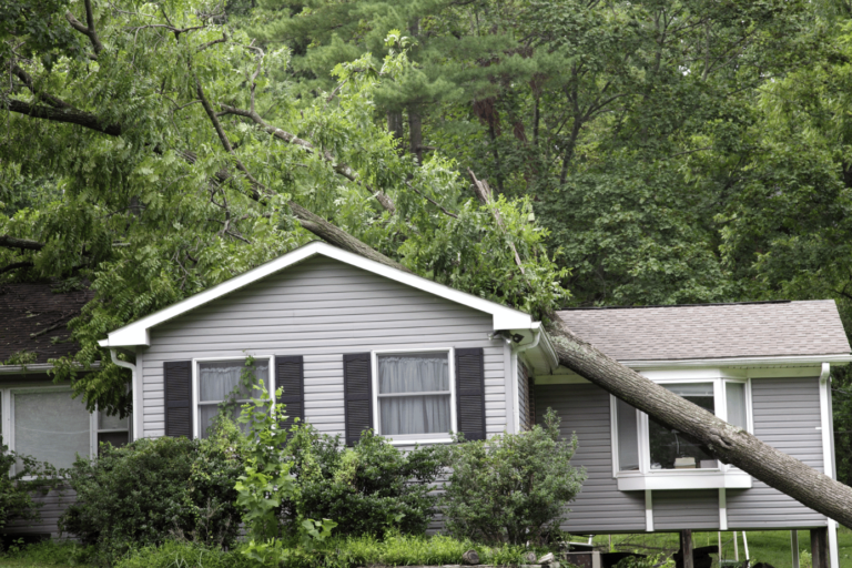 Tree damage on a home Lancaster SC